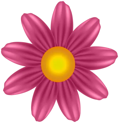 Beautiful Flower Transparent