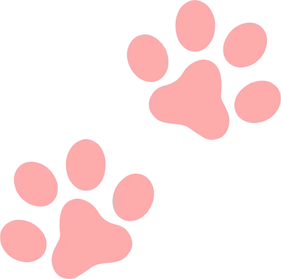 고양이