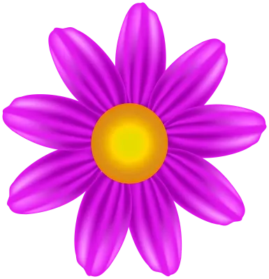 Pink Flower Transparent Beautiful