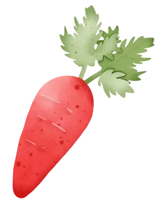Vegetable carrot