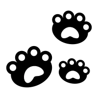 Cat paw