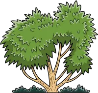 illustration of cartoon tree.