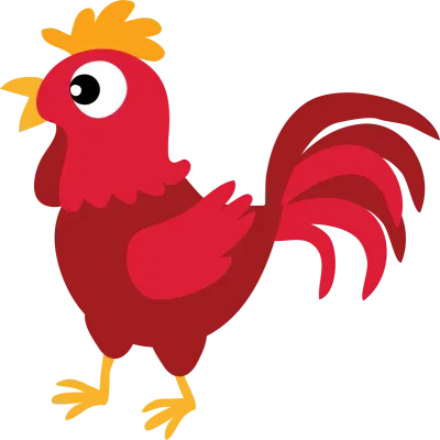 Chicken animal