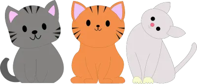 3 Cute cat smile