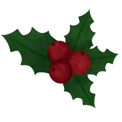 christmas set