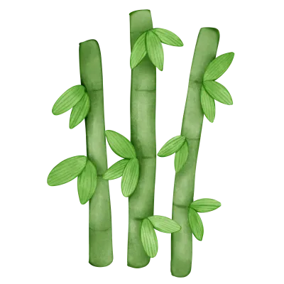 Bamboo