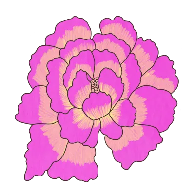 모란 꽃