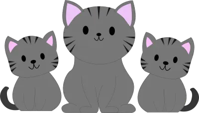 cute cat smile