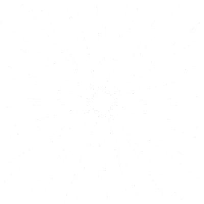 집중선