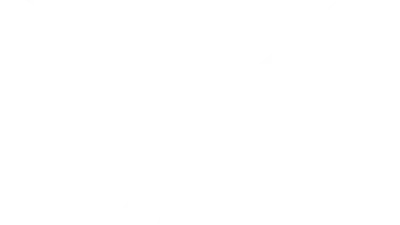 집중선