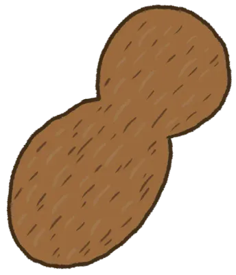 땅콩