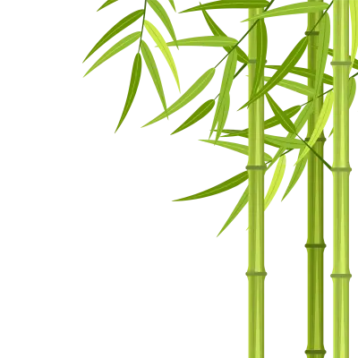 Vector green bamboo stems