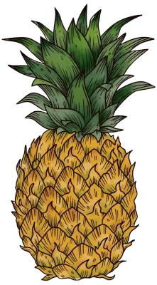 pineapple - 1