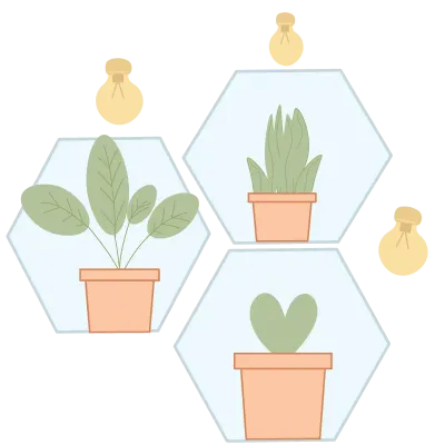 House Plants