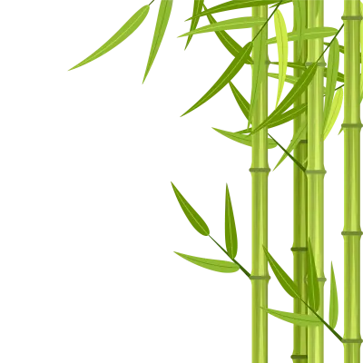 Vector green bamboo stems