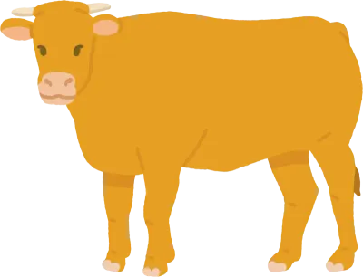 소