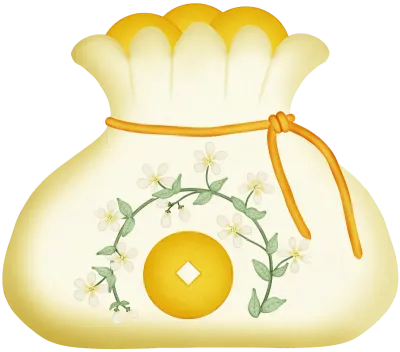 Chinese Money bag Design