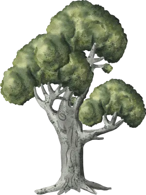 watercolor trees