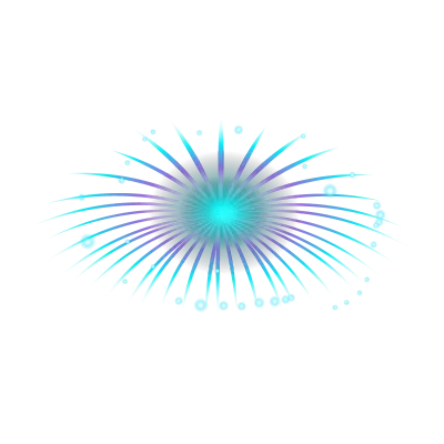 New year fireworks sticker