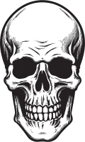 Obsidian Death Mark A Stylish Vector Logo Gothic Aura The Mystical Skull Design