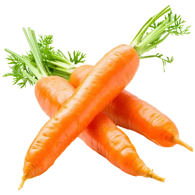 Carrot