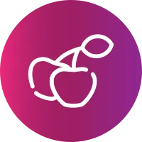Cherries Icon