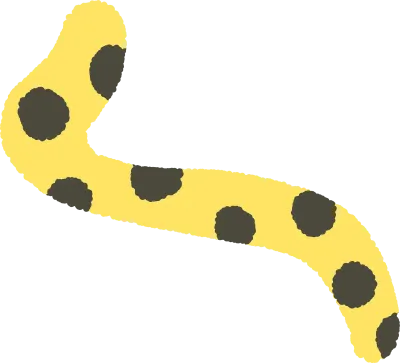 꼬리