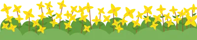 개나리