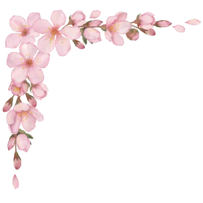 벚꽃