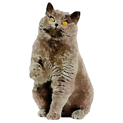 260123 cat watercolor