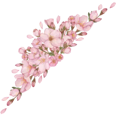 벚꽃