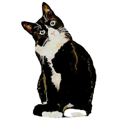 260123 cat watercolor