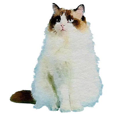 260123 cat watercolor