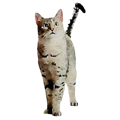 260123 cat watercolor