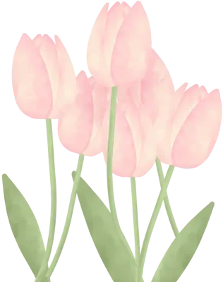 튤립 다발