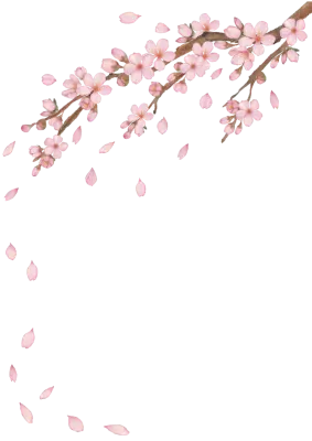 벚꽃