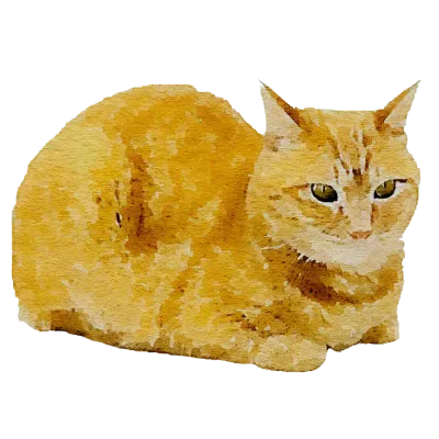 260123 cat watercolor