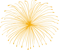 Firework Explosion