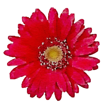 260123 flower watercolor