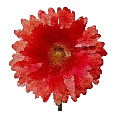 260123 flower watercolor