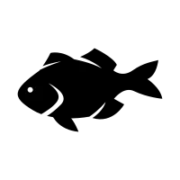get_1220902420_211222_vt_sh_194