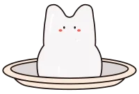 고양이 푸딩