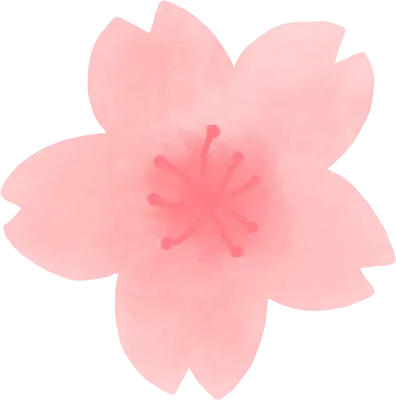 벚꽃