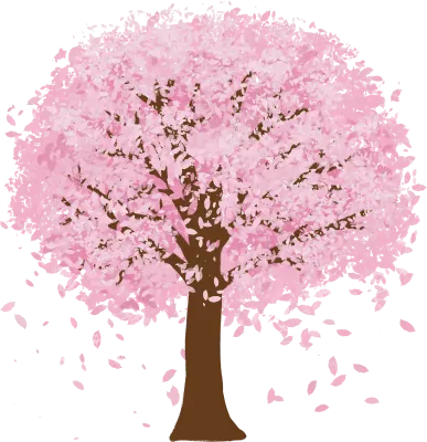 벚꽃