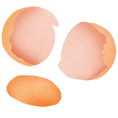 egg