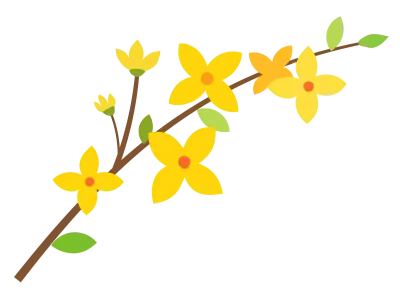 개나리