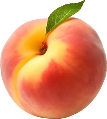 복숭아