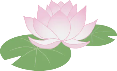 연꽃
