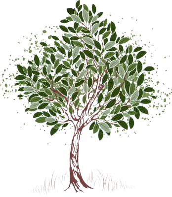 Young tree