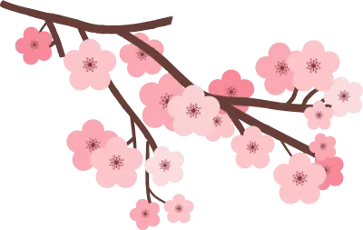 벚꽃